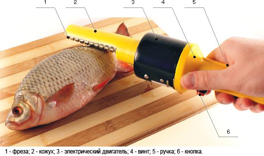 Вся правда об лазерной эпиляции Вся правда об лазерной эпиляции